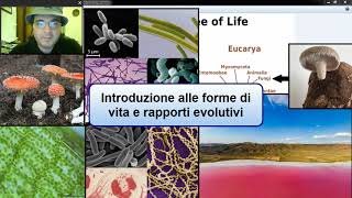 Forme di vita e rapporti evolutivi Bacteria Archaea Eukarya filogenesi origini ed endosimbiosi [upl. by Naivaf778]