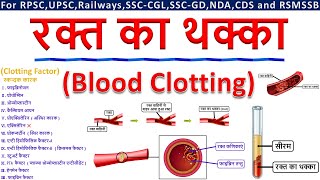 रक्त का थक्का Blood Clotting  रक्त स्कन्दन Blood Coagulation  Clotting Factor  By StudyHUB [upl. by Waldron]