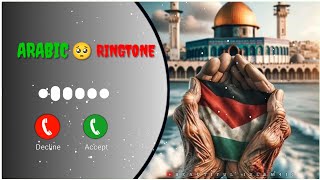 Sahare Chinne Walo Ringtone Muhafiz Aman Ke Hum Best Islamic RingtoneArabic Ringtone urdu naat [upl. by Bj492]