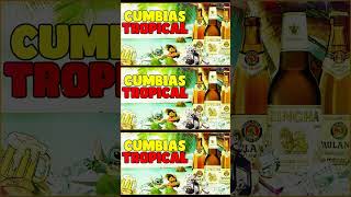 CUMBIAS TROPICALES MIX PARA BAILAR🍉 MIX DE CUMBIAS ✨TROPICAL PANAMATROPICAL FLORIDAJUNIOR KLAN [upl. by Ethelred]