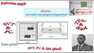 Séries 2Bac Biof  Exercice Ondes mécaniques progressives  Ondes sonores [upl. by Mclaurin]