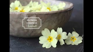 How to make Flower essences [upl. by Ruggiero]