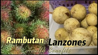 Rambutan and Lanzones Fruits Health benefits  Nutrients facts [upl. by Cecilla635]