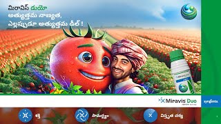 Syngenta  Miravis Duo  Tomato  Motion Poster  Telugu [upl. by Fernanda]