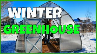 Winter Greenhouse Growing [upl. by Etteniotnna]