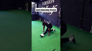 Lizard Hamstring Stretch warmup personaltrainertorontohamstrings brampton [upl. by Cartie]