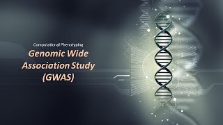 Genomic Wide Association Study [upl. by Idnahc]