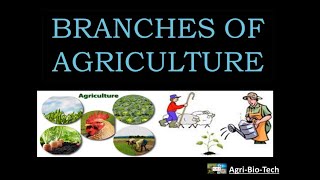 branches of agriculture  main branch of agriculture  branches and introduction of agriculture [upl. by Frayda]