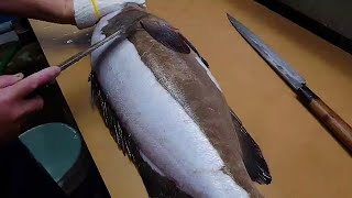 Grouper Japanese Fish Filleting Skills [upl. by Beulah604]