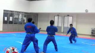 Vovinam Training by Hochiminh City Team  December 2010 [upl. by Aihcsrop]