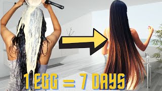 I Used Egg On My Hair Every Day For 7 Days amp THIS HAPPENED Shocking Results [upl. by Jaban]