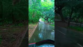 kannetha doorath😌 nature travel youtube yoitubeshorts [upl. by Biles]