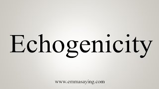 How To Say Echogenicity [upl. by Enogitna]