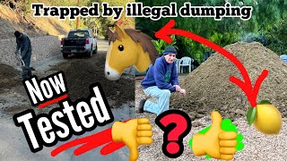 😳❌ Gardeners Surprise YOU Won’t BelieveTESTED Illegal Street Dumping MANURE Will it Stay in Garden [upl. by Sathrum]