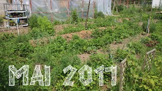 Potager en permaculture Mai 2017 21 [upl. by Noletta998]