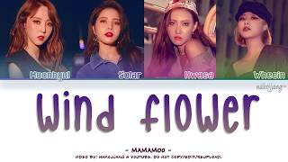 MAMAMOO 마마무 – WIND FLOWER Color Coded Lyrics EngRomHan가사 [upl. by Thacker]