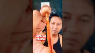 Micro jig metal jig umpan casting brandal mancing fishing mancingmania [upl. by Yebloc388]