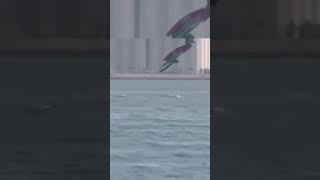 360 vehiculemagazine powerboat hydroplane fyp fail [upl. by Russom]