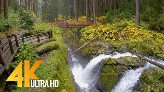 4K Virtual Hike  Amazing Nature Scenery with Soothing Music  Sol Duc Falls Nature Trail [upl. by Chane889]