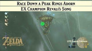 Breath of the Wild  EX Champion Revalis Song DLC 2 Walkthrough Trial 2 Down a Peak Rings Adorn [upl. by Hotchkiss]