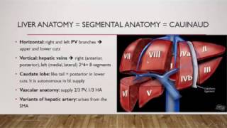 Liver CT in Arabic 1 [upl. by Anidualc]