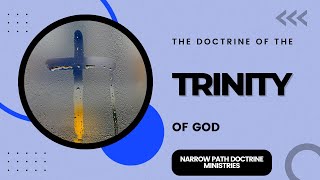 The Doctrine of the Trinity  RC Sproul  Michael Reeves [upl. by Akenahs]