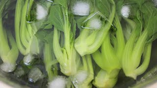 Bok choy recipe  How to cook bok choy with oyster sauce [upl. by Eerased]