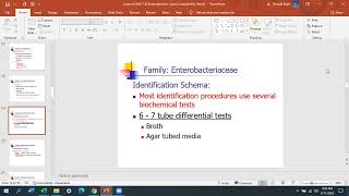 Lecture 6  Enterobacteriaceae 1 [upl. by Slin]