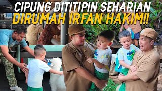 SEHARIAN NGASUH BINATANG DIRUMAH IRFAN HAKIM CIPUNG KEGIRANGAN DIKASIH BABY DOMBA BUAT BAWA PULANG [upl. by Spitzer]