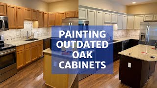 Painting Oak Cabinets  Transform Your Kitchen [upl. by Ijan]