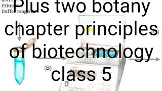 Plus two botany chapter principles of biotechnology class 6 [upl. by Cinda]