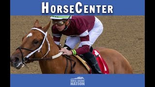 Gun Runner and Untapable top picks on HorseCenter [upl. by Anaeco435]