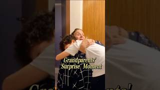 Grandparents Surprise Moment grandpa surprise moment emotional [upl. by Yemrej]