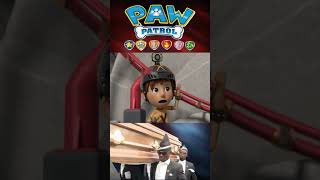 🐾PAW Patrol  Daring Danny X and the Runaway Roller Coaster  Coffin Dance Song coffindance short [upl. by Fesuy]