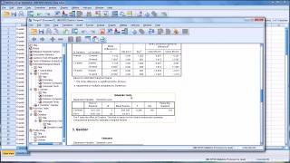 Conducting a TwoWay ANOVA in SPSS [upl. by Geno181]