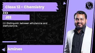 ii Distinguish between ethylamine and diethylamine [upl. by Ennaylime]