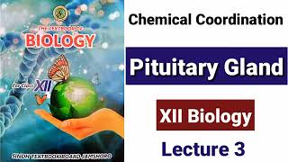 Pituitary Gland Lecture 3 [upl. by Habas666]