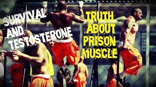 Truth About Muscular Prisoners Survival Testosterone [upl. by Hong189]