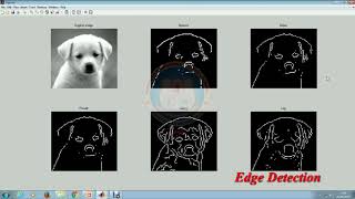 Image Segmentation Using MATLAB [upl. by Lleksah692]