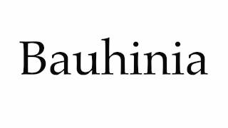 How to Pronounce Bauhinia [upl. by Gilberta]