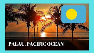 PALAU City of KOROR what to see Pacific Ocean [upl. by Yenahpets]