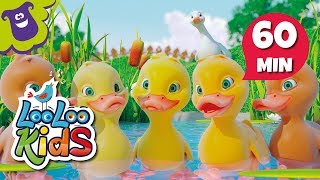 Five Little Ducks  S2EP15 Musical Adventure Collection  LooLoo Kids Songs for Kids [upl. by Randee]