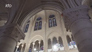 Révéler le mystère  à NotreDame de Paris laménagement sonore et visuel commence [upl. by Aenert]