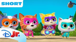 SuperKitties SuPurr Adventures Shorts  Quacksleys Playdate  disneyjr [upl. by Kaitlyn]