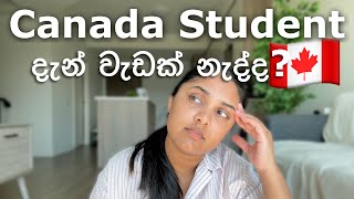 Canada Student Visa Reject වුනාද 🇨🇦  දැන් ඇවිල්ලා වැඩක් නෑ canada internationalstudent sinhala [upl. by Inihor]