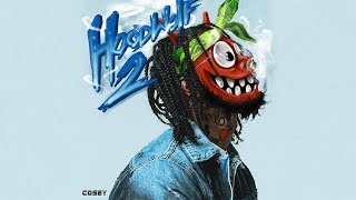 Hoodrich Pablo Juan  Vacation Ft Lil Duke HoodWolf 2 [upl. by Inahpit993]