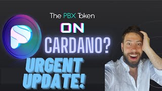 Paribus Update⚡️Is PBX Bridging to Cardano [upl. by Ellenij]