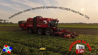 suikerbieten rooien loonbedrijf speelman HOLMER HexxTraxx 12rij oost Groningen farmers 4K [upl. by Yasmine]