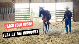 DC TEACH YOUR HORSE TO TURN ON THE HAUNCHES [upl. by Matronna]