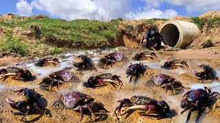 fantastic river fishing for crabs Poor boy finds a large amount of crab in the river [upl. by Brindell915]